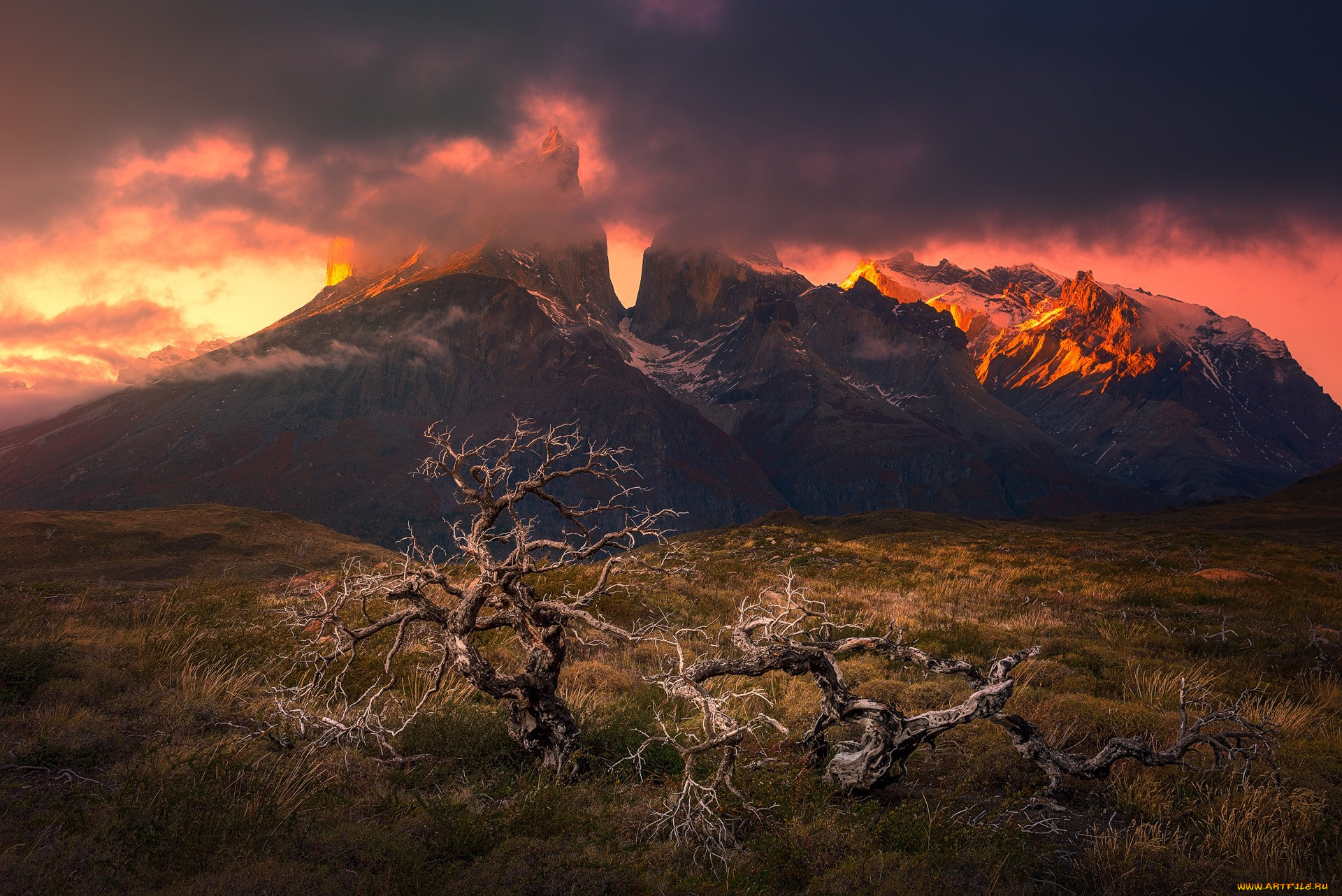   torres del paine, , , , , , , , , , , , , , , , , 